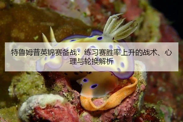 特鲁姆普英锦赛备战：练习赛胜率上升的战术、心理与轮换解析